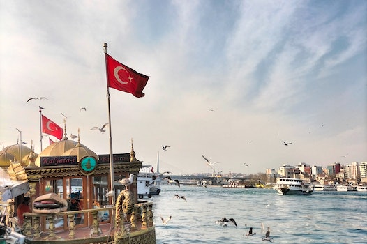 Turkish Fish Sandwich (Balik Ekmek)