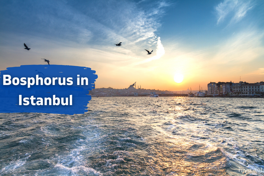 Bosphorus in Istanbul (The Best Guide in 2024)