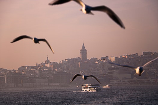 Hotels In Istanbul Near The Beaches