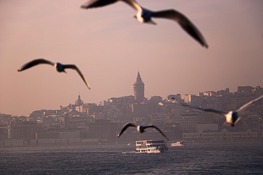 Bosphorus in Istanbul (The Best Guide in 2023)