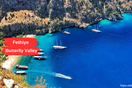 Fethiye Butterfly Valley 2024: One of the Fascinating Corners of Nature